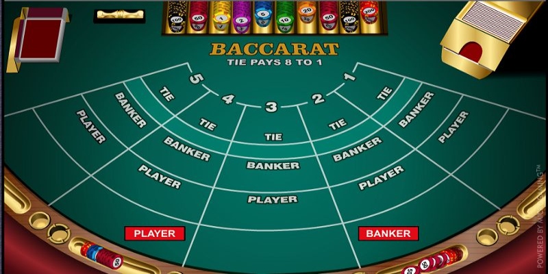 Cách bắt cầu hòa Baccarat