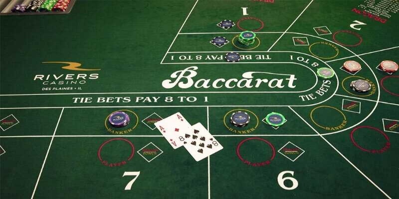 Cách bắt cầu hòa Baccarat